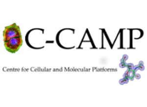 C Camp Logo