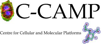 C CAMP Logo